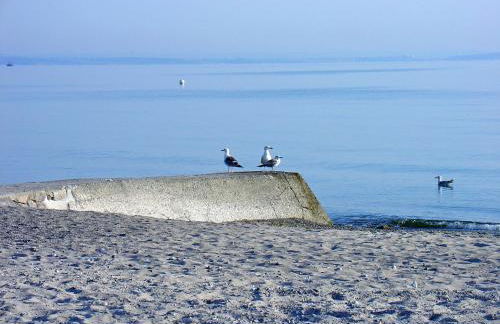 FeWo Machedanz am Hafen Timmendorfer Strand OT Niendorf - Foto 10