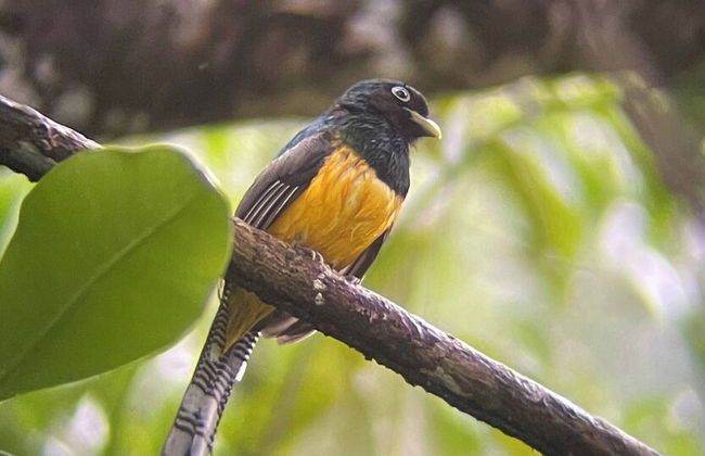 Ballena Bay, Casa Mar Azul - Foto 28