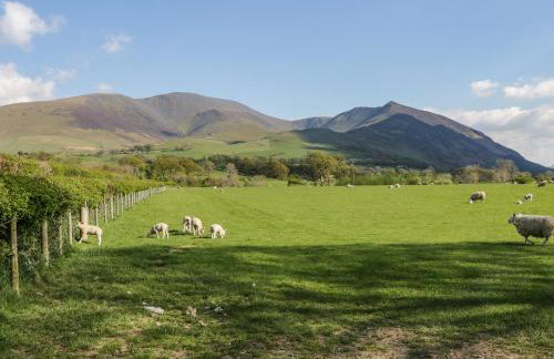 Scale Force - Foto 32