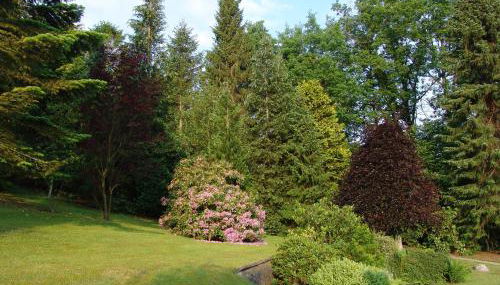 Haus Langsee - Foto 5, Garden