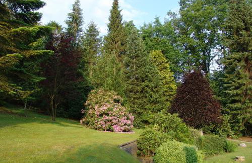 Haus Langsee - Foto 5