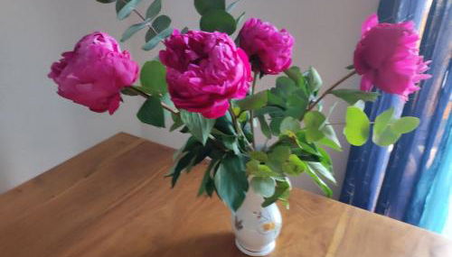 F2 vue mer et montagne au calme - Foto 4