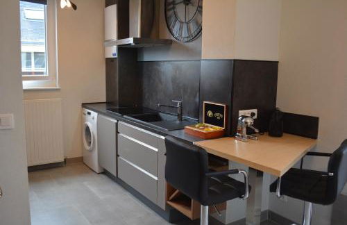 Appartement-terrasse parking privé Meublé de Tourisme 4 étoiles - Foto 22