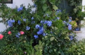 Casa Rural Francisca - Foto 18