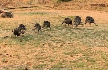 Your Mountain Retreat - Foto 42