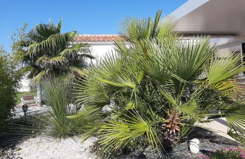 VILLA CLAIR DE DUNE - Foto 31