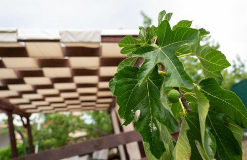 Villa Bistre - Foto 55