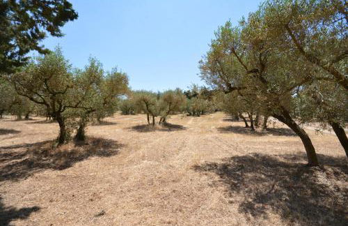 les mazets de la reine Pédauque - Foto 9