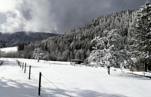 Ferienwohnung Bühler - Foto 31