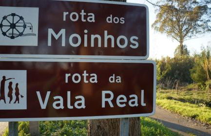 Forest Terrace Praia de Mira - Foto 27