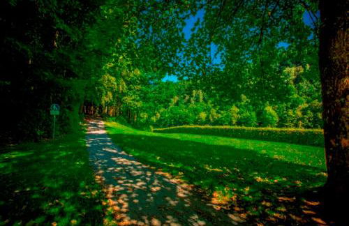 Feriendomizil Haus am See - Foto 36