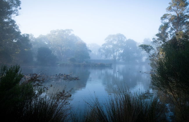 The Burrow At Wombat Bend - Foto 34