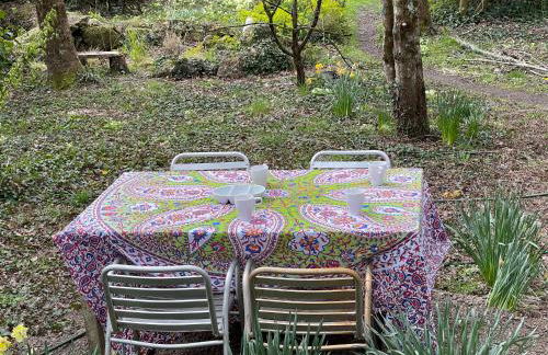 Retro Lodge nr Dartmoor with hot tub & opt sauna - Foto 27