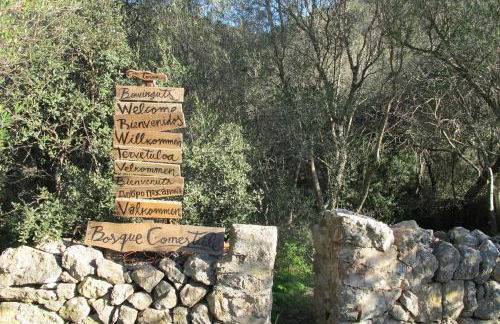 Agroturismo Can Torna AG178 - Photo 19