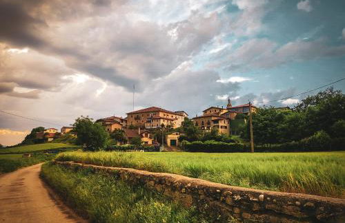 Suite Curry - Photo 40