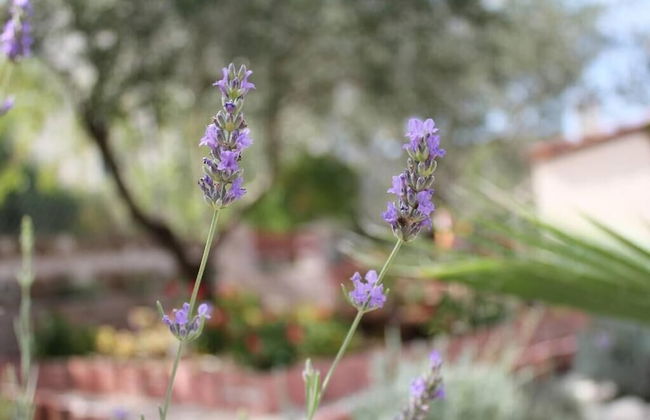 Sea View Apartment Ruza, Sleeps 4 - Foto 12