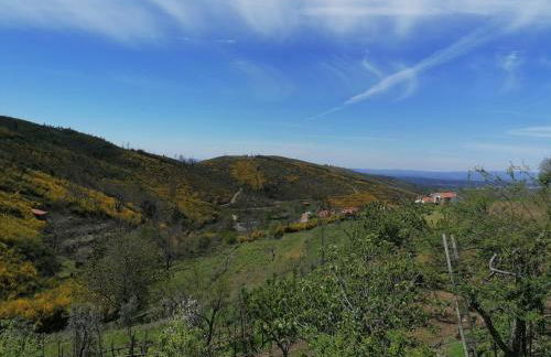 Casinha da Deolinda - Foto 24