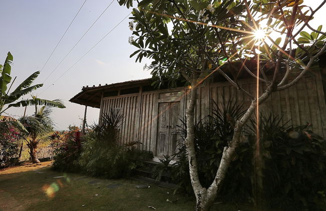 The Sanyas Retreat - Foto 72