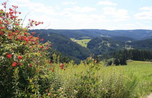 Haus am Waldrand - Foto 26