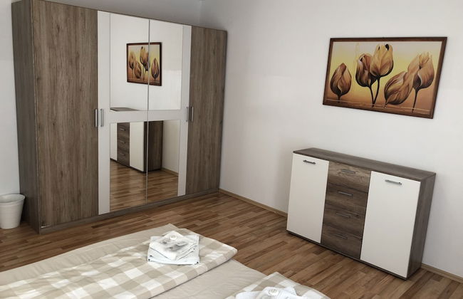 Sahara Falcon - Foto 11