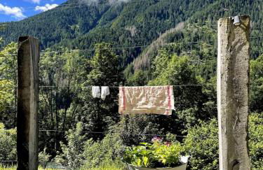 Ciasa TRI - Wellness Chalet - Photo 31