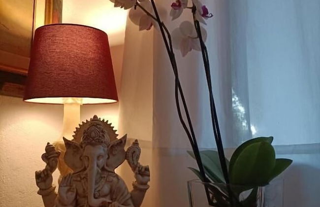 TOTTAM EXPERIENCE - Foto 59