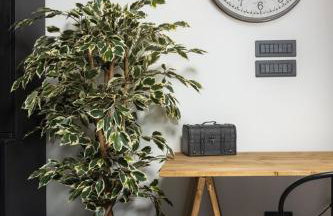 Villa stric Toni - Photo 32