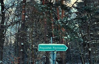 Chata Piechówka - gorąca balia i widok na góry - Foto 35