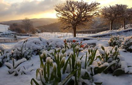 Fewo-Eifel-Morsbach - Foto 37