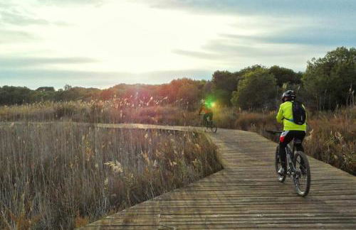 Apartamento Calipso - Photo 51