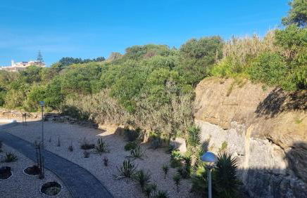 Traveler's Ericeira - Foto 41