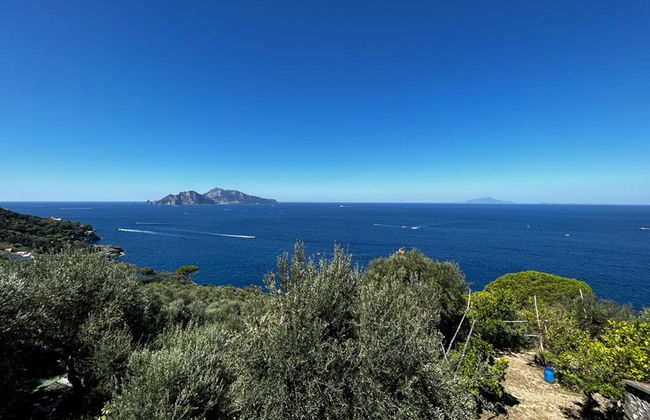 Giardino Caprese - Foto 27