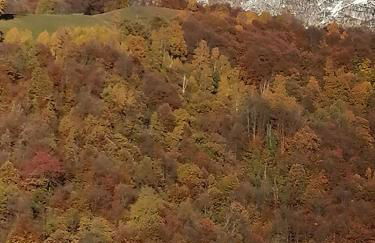 La dimora degli Angeli - Foto 24