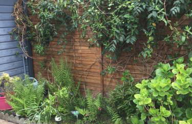 Au galet bleu - Foto 11