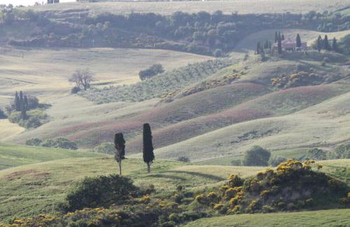 Agriturismo Cantagalli - Foto 126