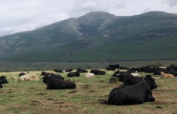 Refugios Del Valle Negro - Foto 76