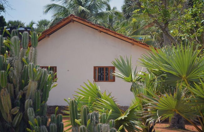 Redhill Yala - Photo 23