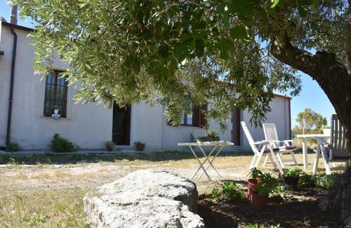 Su Cuile historical country house with barbecue - Foto 43