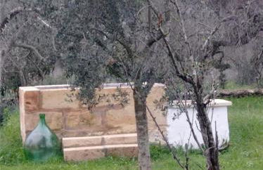 La Petraia - Foto 36