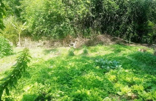 Sítio Preguiça - Foto 25