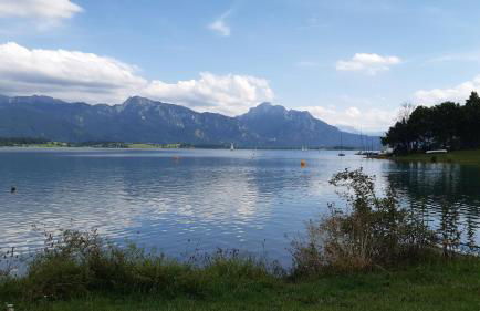 Beim Winkel Max - Photo 19