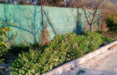 Charming House with Pool in Montilla - Foto 69