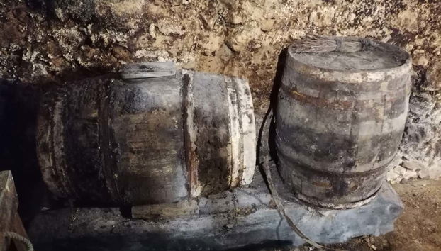 Tour in Peñaranda de Duero - Photo 5