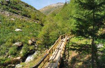 Apartamento C&C - Foto 36