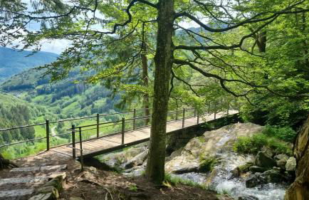 Waldgeflüster 2-Zi-DesignOase mit Terrasse und Tiefgarage im Neubau - Foto 28