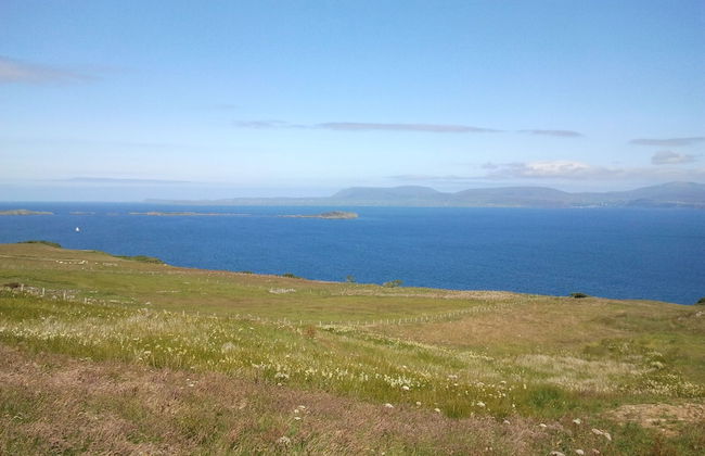 Croft 7 Geary Self Catering Studio - Photo 40