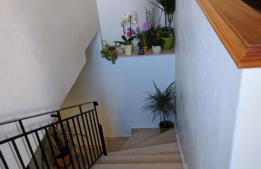 Rayon De Soleil - Foto 6