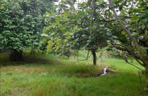 A CASA DOS AVÓS - Foto 26