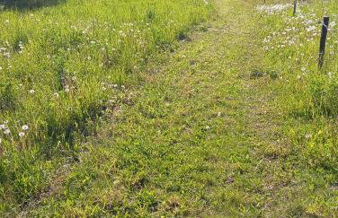 POKOJE NA CYPELKU NAD 5 JEZIORAMi - Foto 26