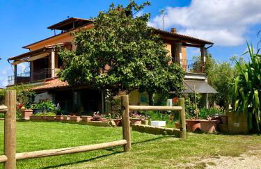 Agriturismo Montefabbrello - Foto 21